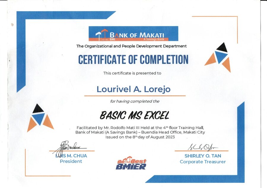 Preview of Basic MS Excel certificate